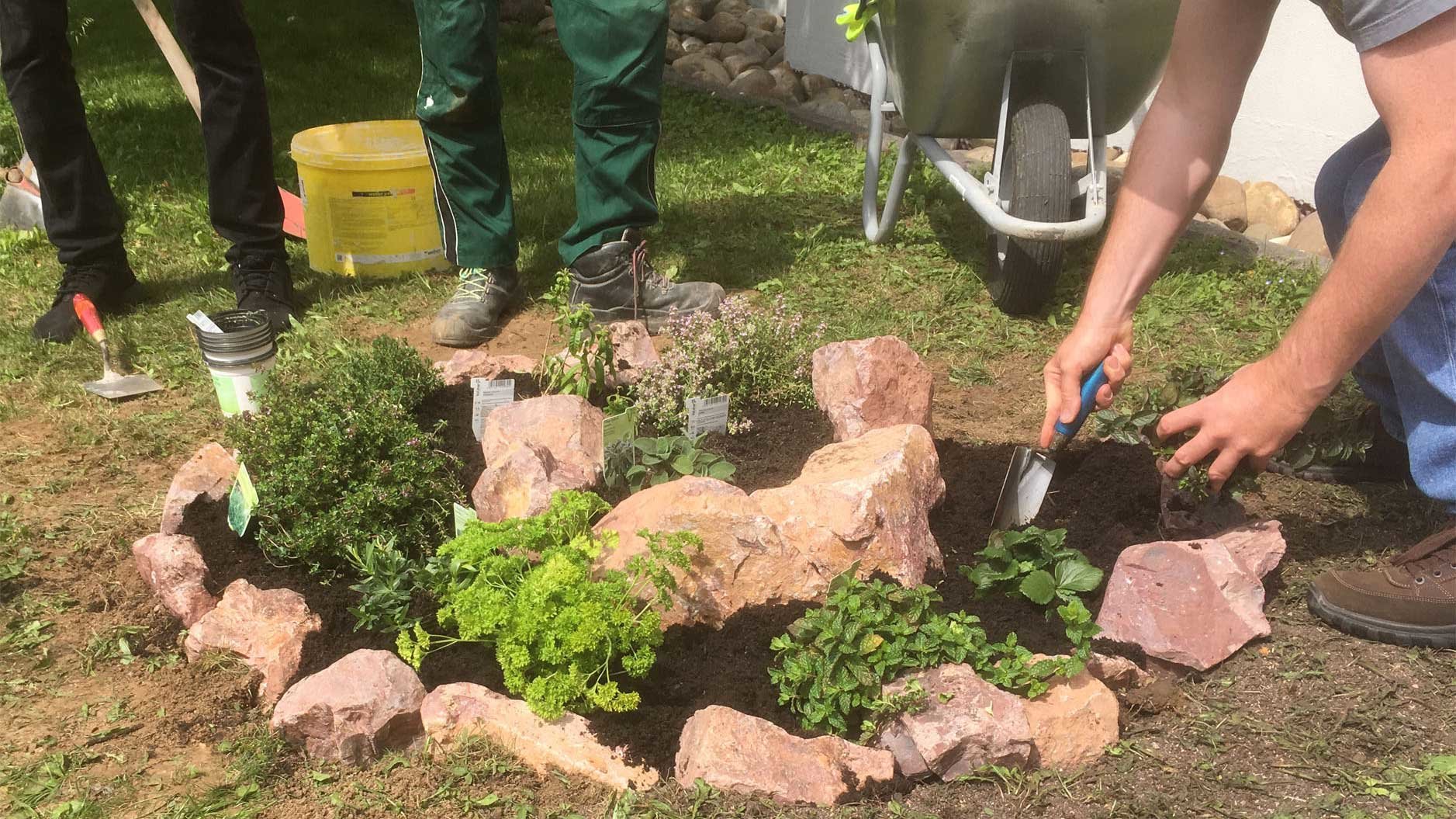 Trainees working in the garden | © Braunform GmbH